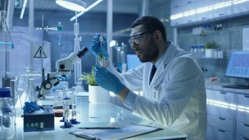 In a Modern Laboratory Research Scientist Conducts Experiments with Organic Materials. He Uses Pipe