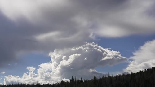 Timelapse of clouds building over forest in Utah