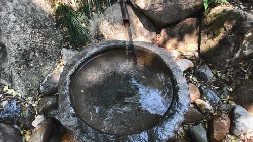 Slo-Mo Overhead Close Shot, Japanese Water Feature, Botanical Gardens, Mt Coot-tha Brisbane
