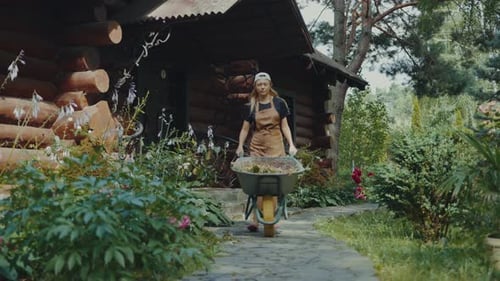 Woman Gardening with Wheelbarrow on Rural Property