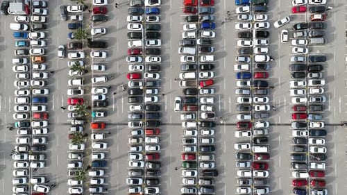 vehicles in the parking lot