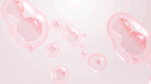 Abstract Pink Cells Merging and Separating Medical Background