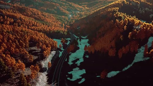 Uma vista panorâmica de uma estrada cercada por árvores