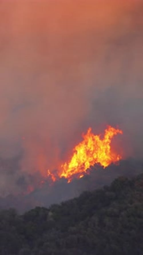 Intervention en cas de feu de forêt à Los Angeles : des hélicoptères combattent les flammes