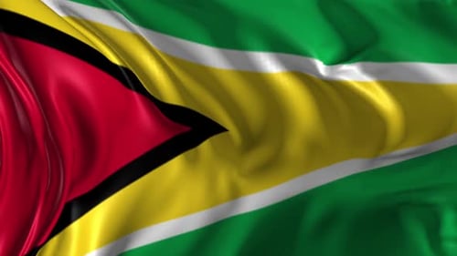 Realistic Waving Flag of Guyana Animation