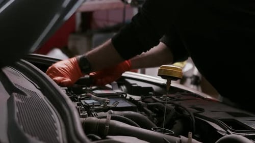 Checking engine oil dipstick inside car engine bay