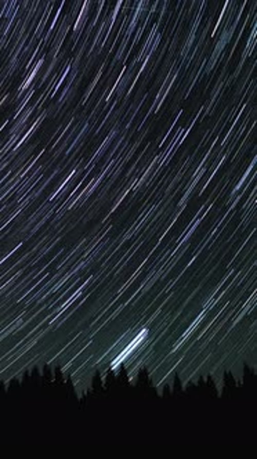 Star Trails Time Lapse over Dark Forest at Night