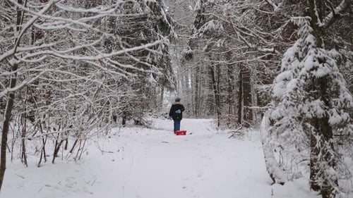 Un enfant pousse lentement un traîneau rouge sur une colline dans une forêt enneigée vers l'aventure