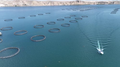 Aerial View Of Fish Ponds In The Dam Lake