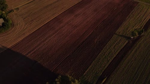Crop harvest