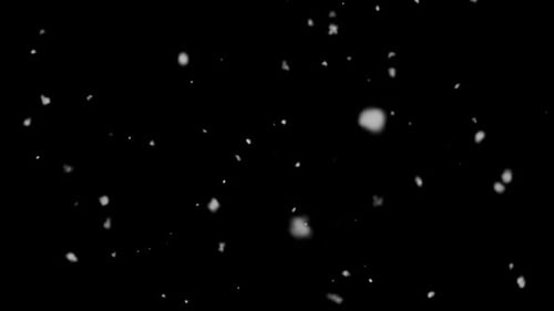 slow motion winter snow alpha