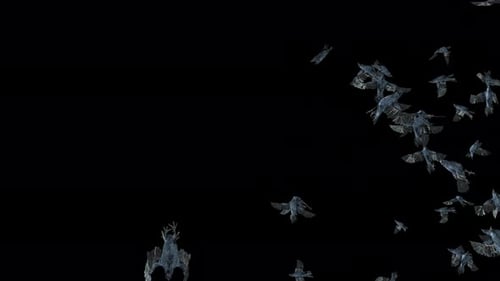 Realistic Flock of Crows Flying Animated Clip with Alpha Channel