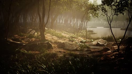 Pond in a Forest with Fog