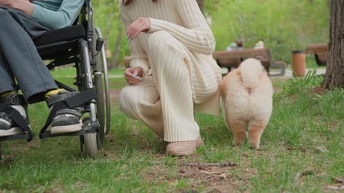 White Senior In Wheelchair Accompanied By Caregiver And Fluffy Dog Toddler Nearby Accessible Park