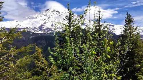Revelando el majestuoso monte Rainier en Washington, EE. UU.