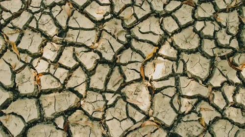 Cracked Earth Ground in Arid Landscape