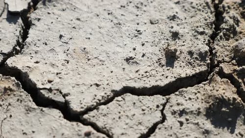 Cracked Dry Earth Under Sunlight