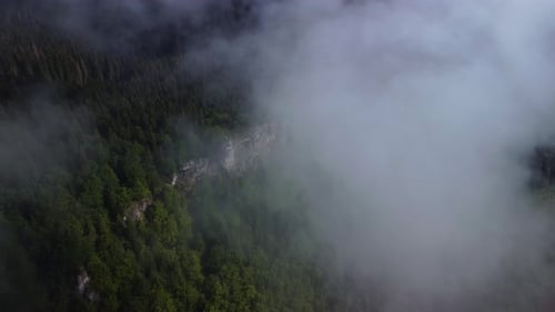 Misty Fog Over Mountain Forest Landscape