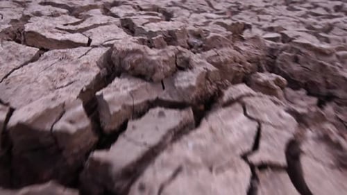 Parched Cracked Earth During Drought Conditions