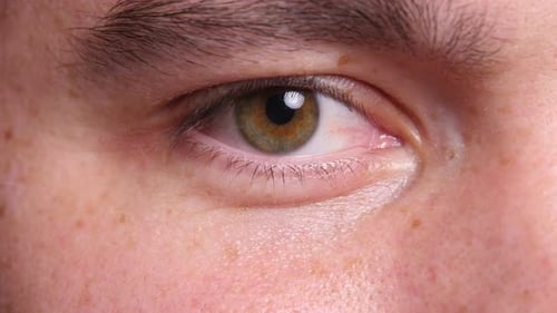 Extreme Closeup of Man'S Eye Adult