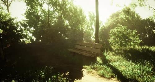 Wooden Bench Under Sunlight in a Tranquil Green Park at Midday