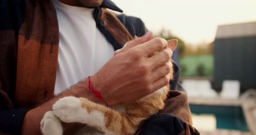 Closeup Shooting A Man Holds and Strokes a Red Cat Rest in the Country House