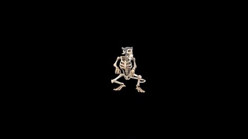 Skeleton Monkey Look Idle