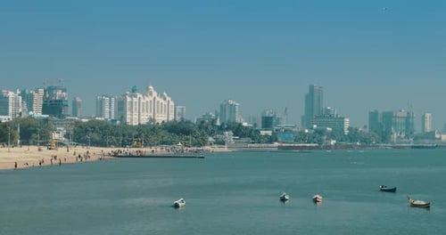 Mumbai India Pigeon Fly In