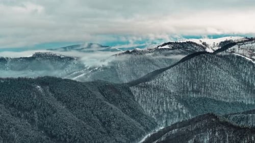 Misty winter mountain forest landscape with snow