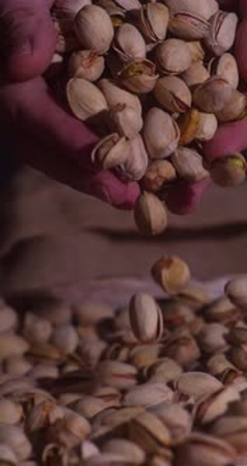 Slow Motion Hand Pouring Pistachios into Pile