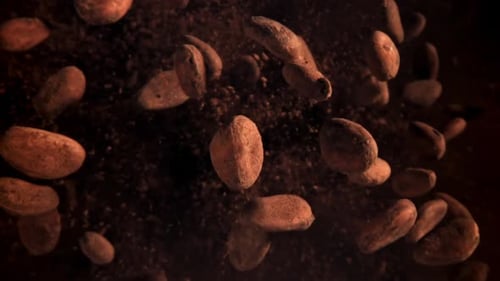 Grãos de cacau voam para cima e caem, filmados em uma câmera de alta velocidade a 1000 Fps