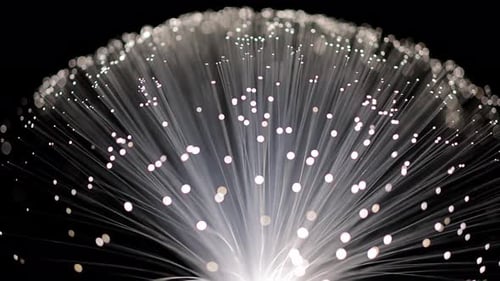 Abstract White Fiber Optic Light Streaks