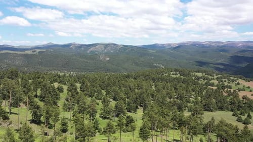 Vue aérienne avec des arbres et des collines 3