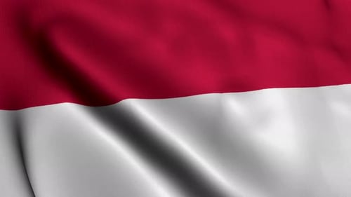 Realistic Red and White Flag Waving Seamless Loop