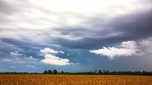 Rain and stormy weather cloudscape over farming landscape of harvest crops - wide angle time lapse