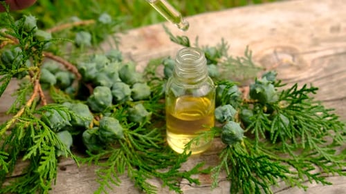 Natural Oil with Juniper Extract for Wellness