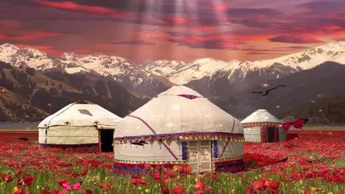 Yurt Tent In Valley With Flower 4 K Loop 4K