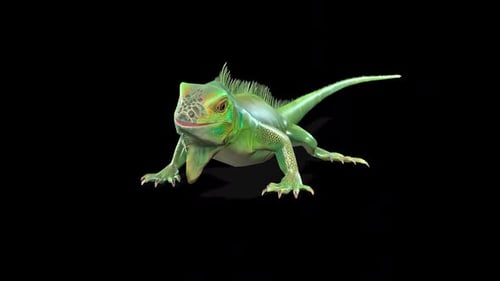 Green Iguana 3D Animated Creature Looking Around