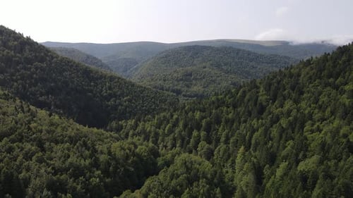 Drone View of Mountains in Spain Covered in Forest, Pine Wood - Dolly Shot