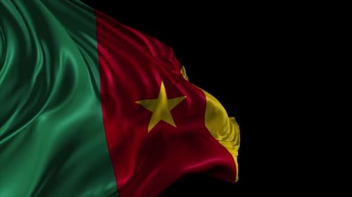 Realistic Waving Flag of Cameroon Loop with Alpha Channel