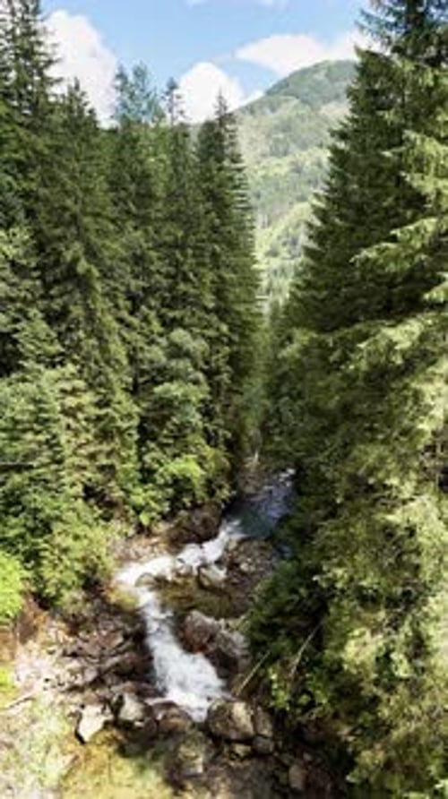 Vertikales Video: Grüne Wald- und Berglandschaft, Blick aus der ersten Person auf den River Serenity Waterfall