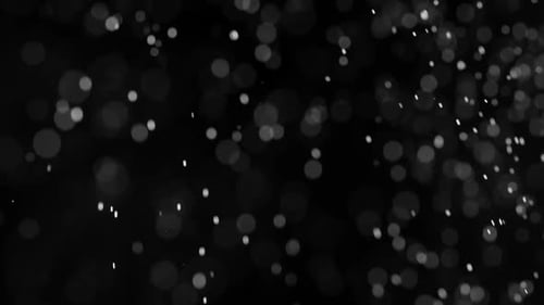 Dust Particles