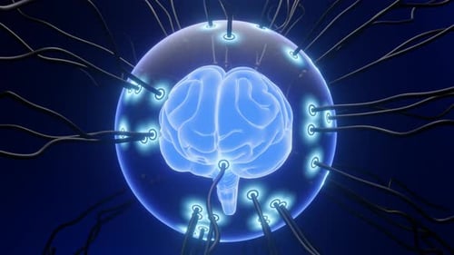 Neural Nexus: 3D Human Brain Animation with Cable Technology | Machine Learning Concept