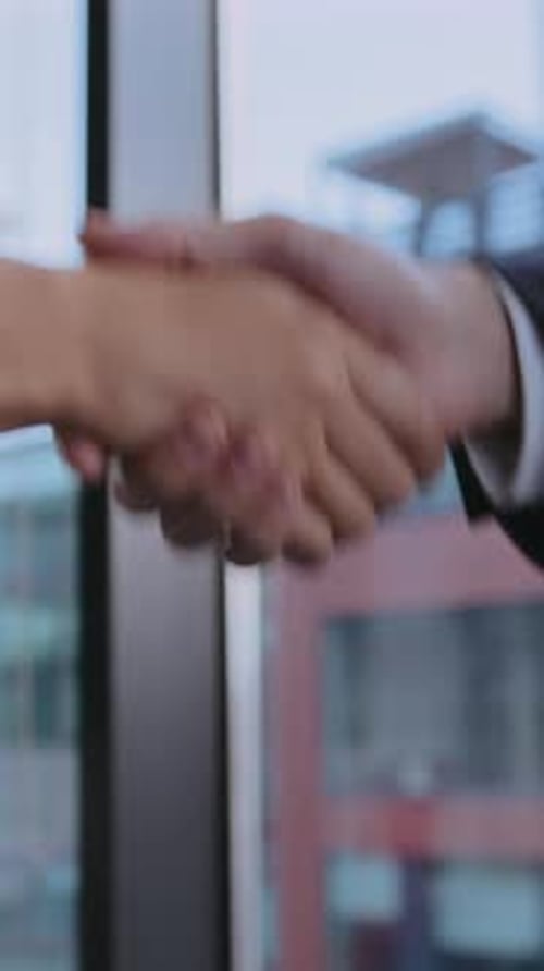 Business Partners Seal Deal with Handshake in Office