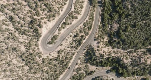 a road with trees and bushes