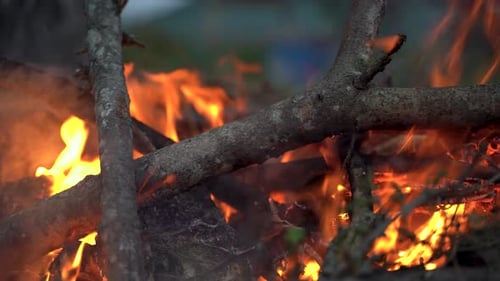 Closeup woods burning in the campfire 4K