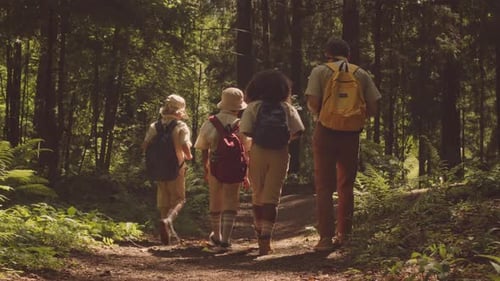 Scout Troop Hiking in Forest Back View