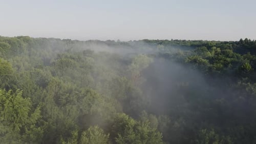 Drone Footage of Morning Mist Over Green Forest at Sunrise