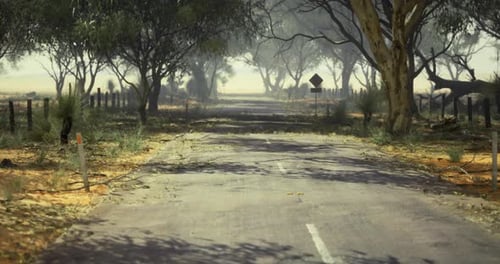 Serene Dirt Road Surrounded By Lush Trees in a Quiet Rural Area