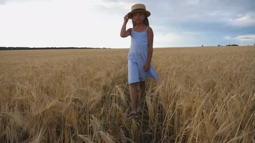 Belle petite fille aux longs cheveux blonds touchant des épis de blé dorés en marchant dans le champ